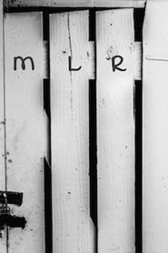 Momentary Lapse of Reason movie poster