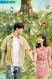 Summer In Love tv show poster