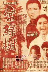 Poster do filme Evergreen Tree