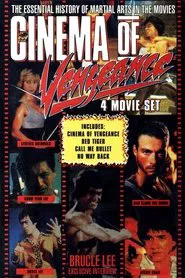 Poster do filme Cinema of Vengeance