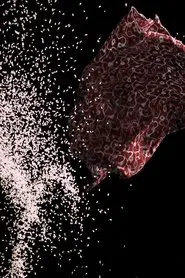 Tashlikh (Cast Off) movie poster