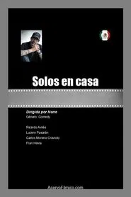 Solos en casa movie poster