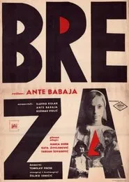 The Birch Tree movie poster