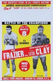 Poster do filme Fight of the Century