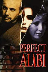 Perfect Alibi movie poster