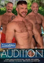Audition movie poster