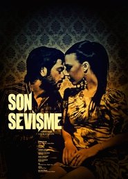 Son Sevişme movie poster