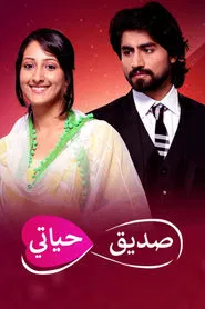 Humsafars tv show poster