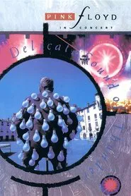 Pink Floyd: Delicate Sound of Thunder movie poster