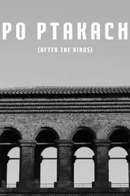 After The Birds movie poster