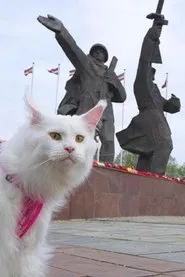 Cats in Riga movie poster