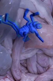 Poster do filme Poor Magic