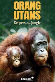 Orang Utans - Keepers of the Jungle movie poster