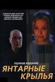 Amber Wings movie poster