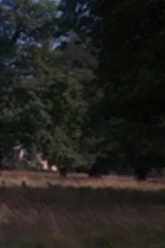 Tree movie poster