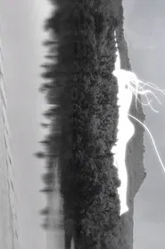 Umbilical Cord to Heaven movie poster