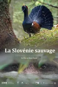 Wild Slovenia movie poster