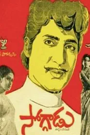 Poster do filme Soggadu