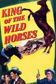 King of the Wild Horses movie poster