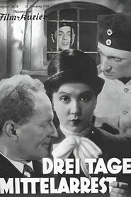 Three days of middle arrest movie poster