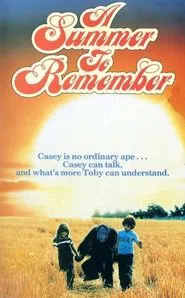 A Summer to Remember movie poster