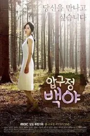Poster da série 압구정 백야