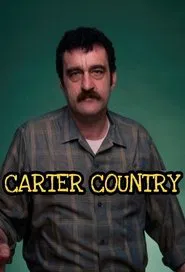 Carter Country tv show poster