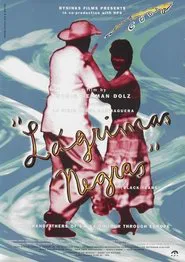Poster do filme Lágrimas negras