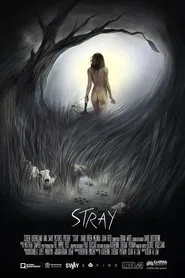 Stray movie poster