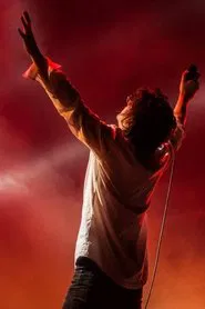 The Last Shadow Puppets at Sziget Festival movie poster