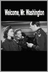Welcome, Mr Washington movie poster