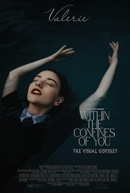 Poster do filme Within the Confines of You: The Visual Odyssey