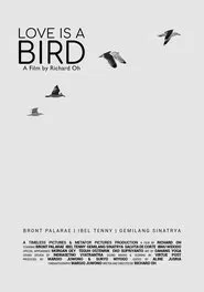 Love is A Bird movie poster