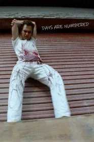 Days Are Numbered movie poster