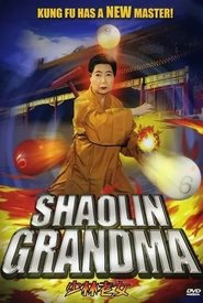 Shaolin Grandma movie poster