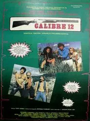 Poster do filme Calibre 12