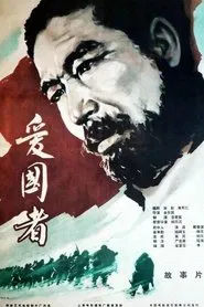 Poster do filme 애국자