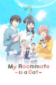 Poster da série My Roommate is a Cat