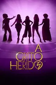 Poster da série Amigas e Canções