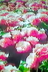 How Flowers Never Became A Food Group movie poster