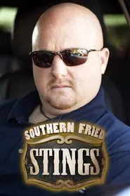 Southern Fried Stings tv show poster