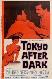 Tokyo After Dark movie poster