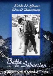 Belle et Sébastien tv show poster