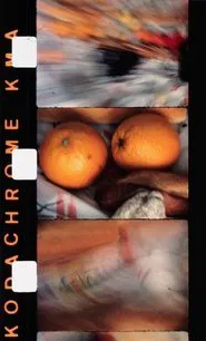 Une partie de campagne movie poster