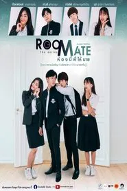 Roommate tv show poster