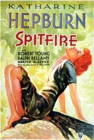 Poster do filme Spitfire