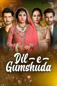 Dil e Gumshuda tv show poster