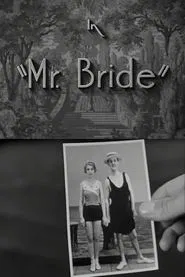 Mr. Bride movie poster