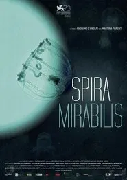 Miraculous Spiral movie poster