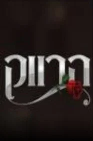 הרווק: ישראל tv show poster